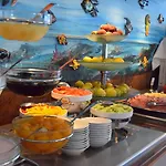 Vina De Mar